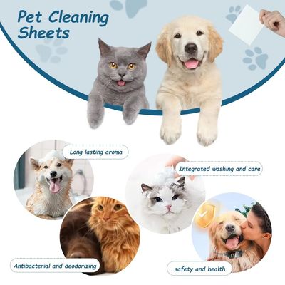 Bon prix Tissus de nettoyage pour animaux de compagnie épais à usage unique Tissus de lavage pour chiens pour intérieur en ligne